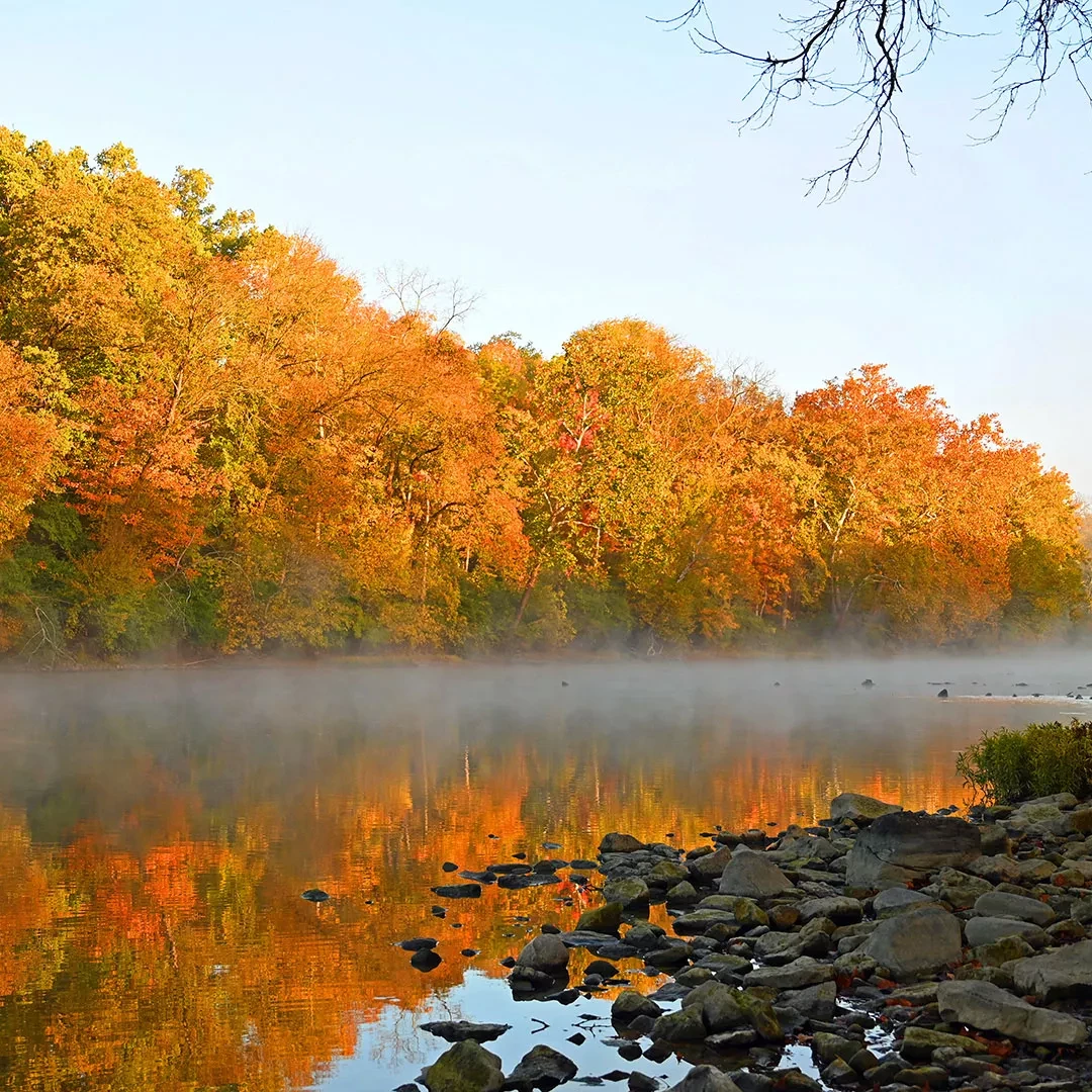 Senior calendar winner photo - misty lake with golden trees